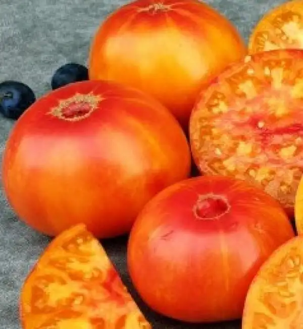 Tomaten: World in my eyes