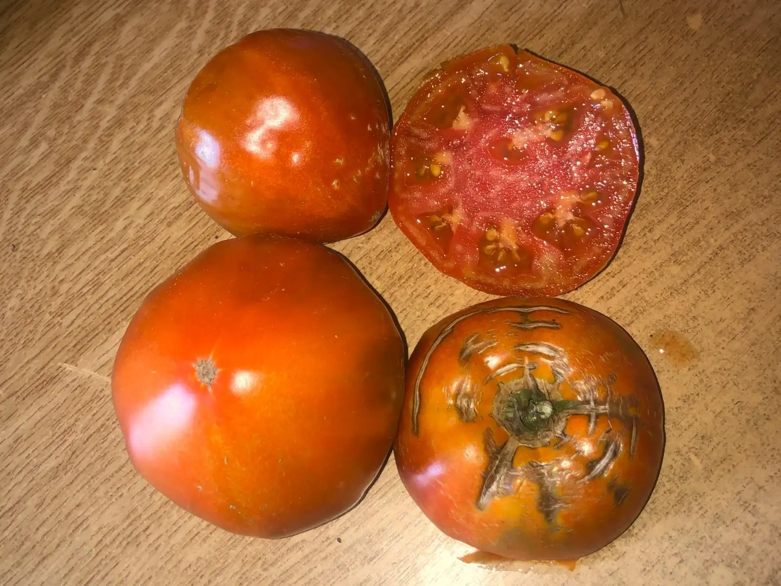 Tomaten: Wozd Krasnokozhik