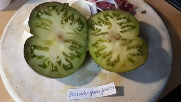 Tomaten: Xanadu Green Goddess