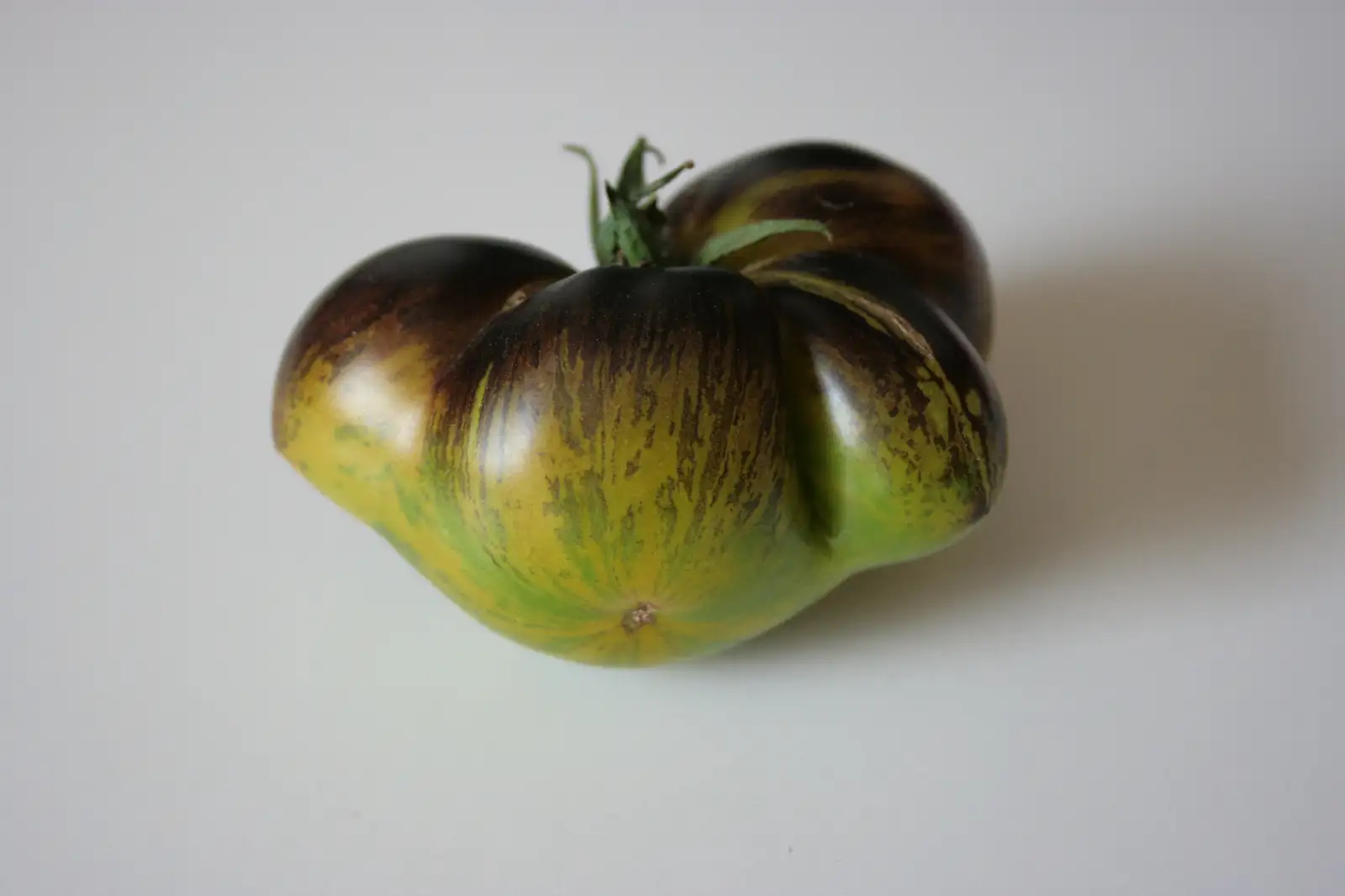 Tomaten: Xanaduu Green Goddess