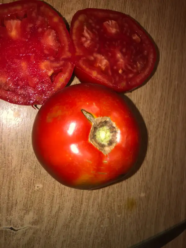 Tomaten: Yablochniy Lipeckiy