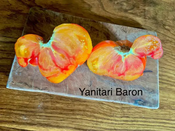 Tomaten: Yantarnyi Baron