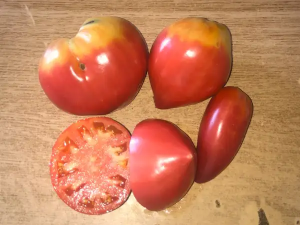 Tomaten: Yaponka
