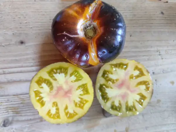 Tomaten: Yellow Dragon