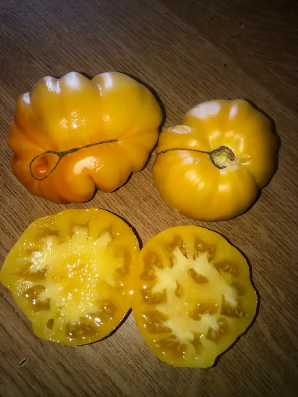 Tomaten: Yellow Ruffled