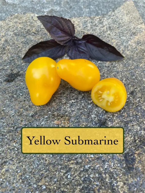 Tomaten: Yellow Submarine