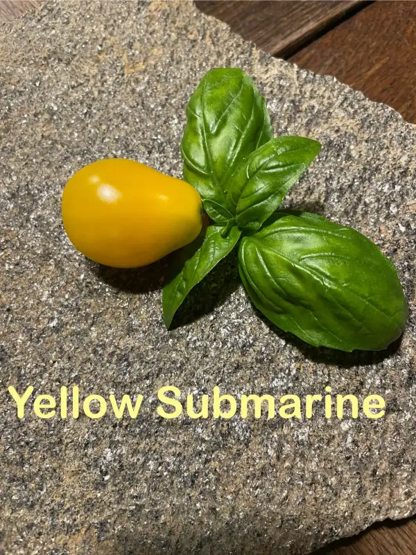 Tomaten: Yellow Submarine