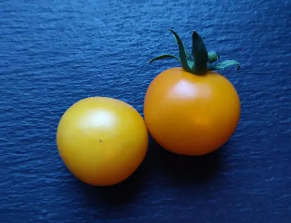 Tomaten: Yellow Taxi