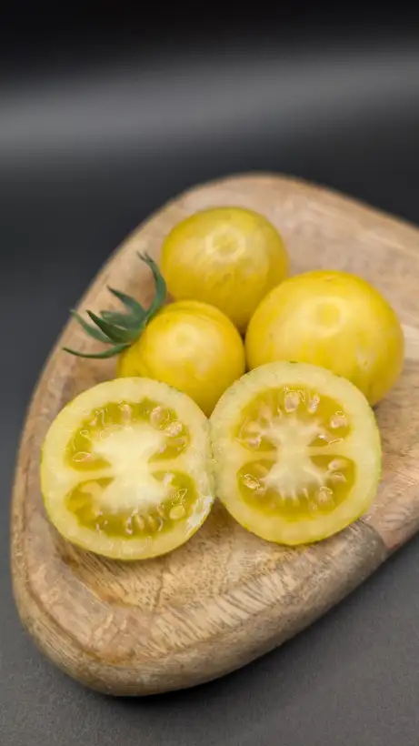 Tomaten: Yellow Vernissage