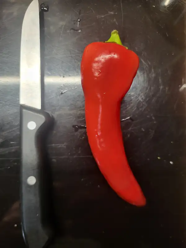 Chili / Paprika: Yesil Tatli