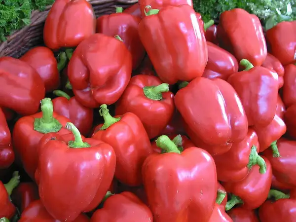 Paprika: Yolo Wonder