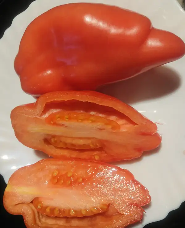 Tomaten: Zagadka Doliny Roz