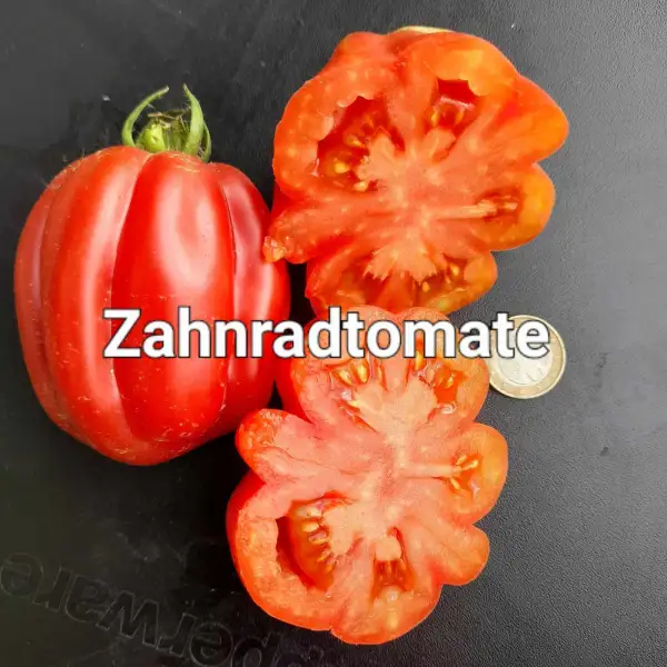 Tomaten: Zahnradtomate