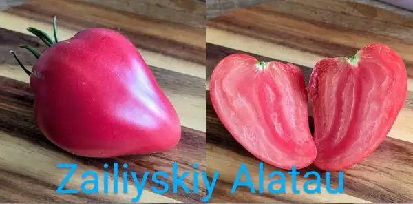 Tomaten: Zailiyskiy Alatau