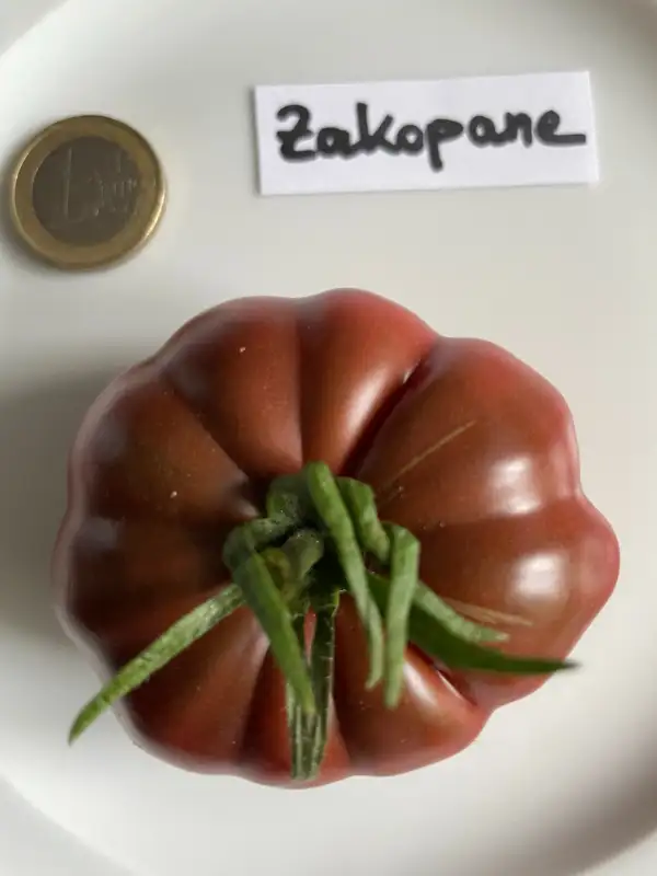 Tomaten: Zakopane