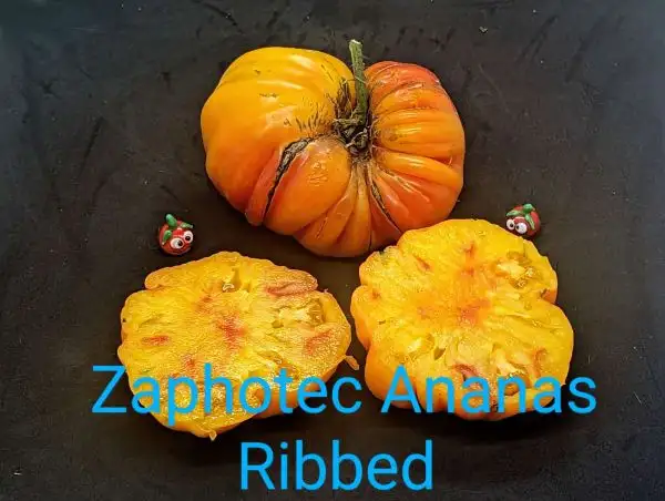 Tomaten: Zaphotec Ananas Ribbed