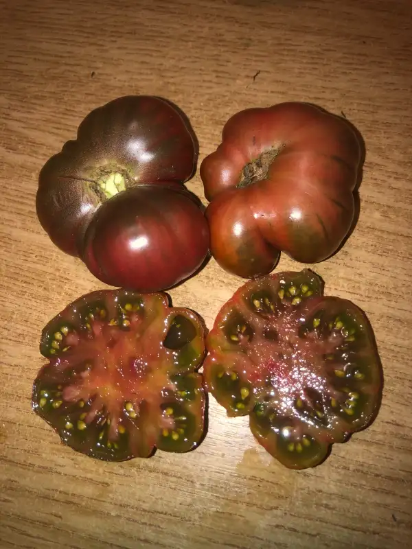 Tomaten: Zapotec Brown Fleisch