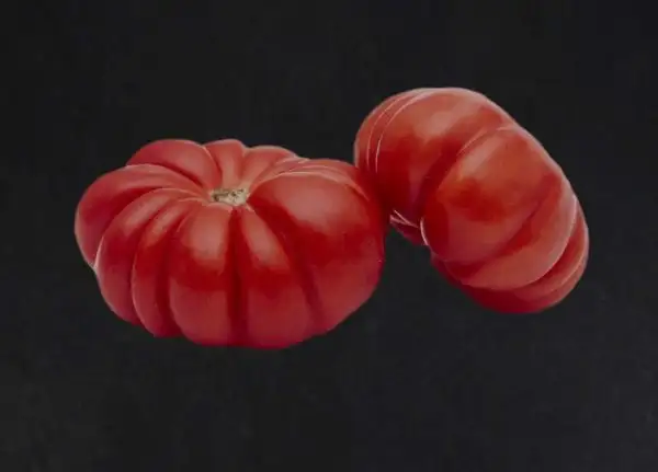 Tomaten: Zapotec rot