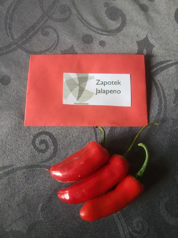 Chili / Paprika: Zapotek Jalapeno