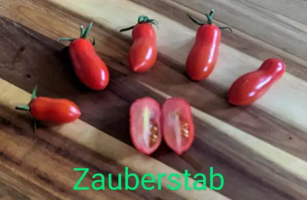 Tomaten: Zauberstab