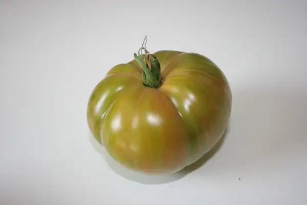 Tomaten: Zebra Etzel