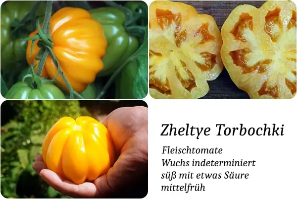 Tomaten: Zheltye Tobochki