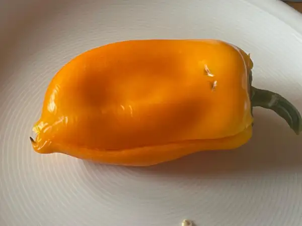 Paprika: Zholtyj Slon