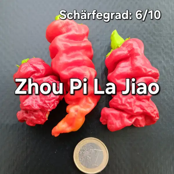 Chili: Zhou Pi La Jiao