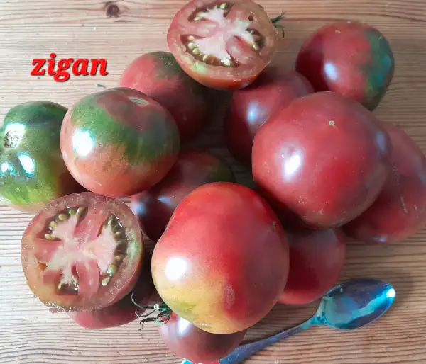 Tomaten: Zigan