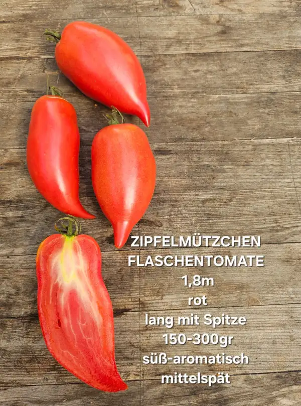 Tomaten: Zipfelmützchen