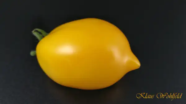 Tomaten: Zitrone