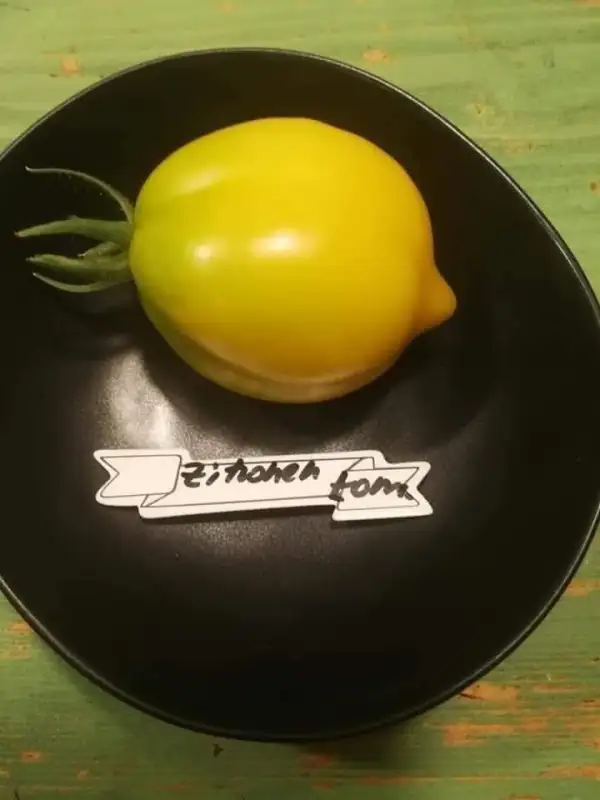 Tomaten: Zitronentomate