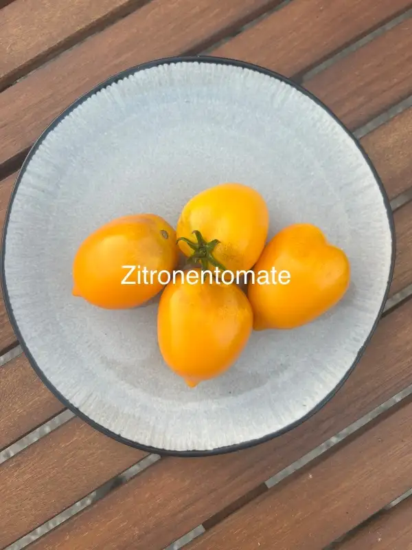 Tomaten: Zitronentomate