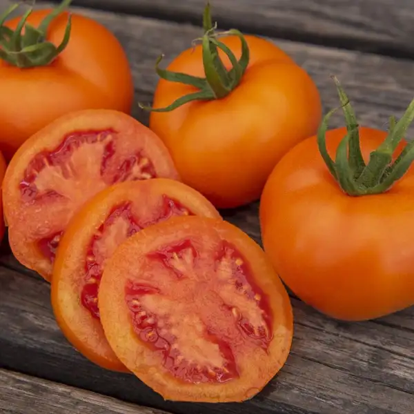 Tomaten: Zlatava