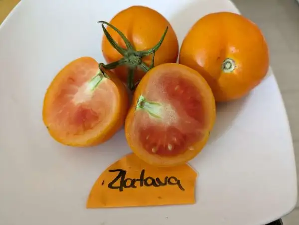 Tomaten: Zlatava