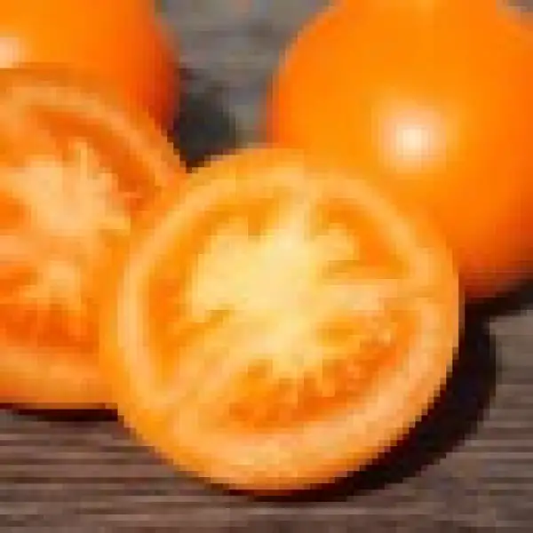 Tomaten: Zloty Ozarowski, auch Goldene aus Ozarow