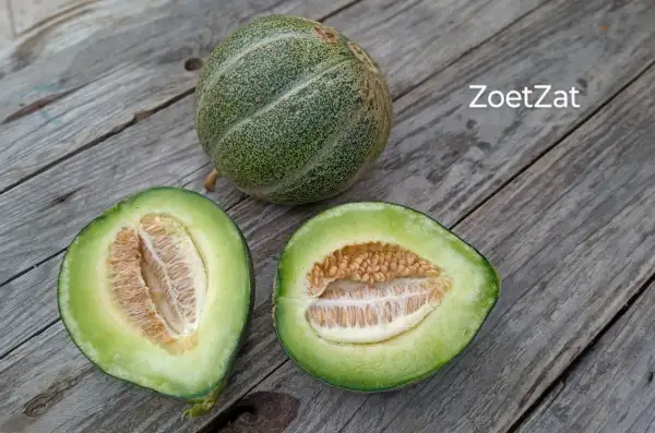 Melonen: ZoetZat, Honigmelone