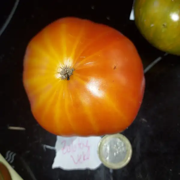 Tomaten: Zolotoy Vek