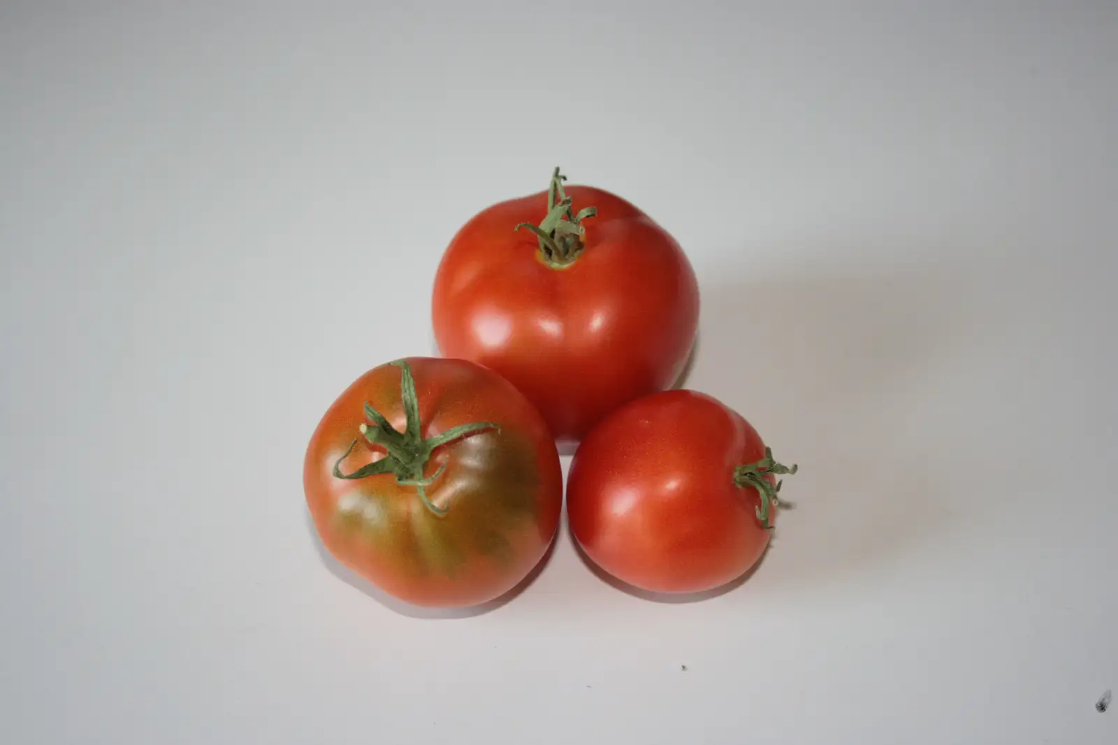 Tomaten: Zoughu
