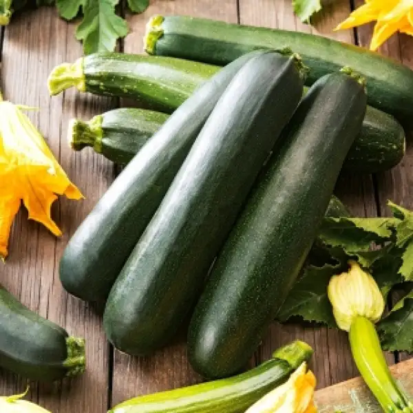 andere Gemüse: Zucchini Nero di Milano