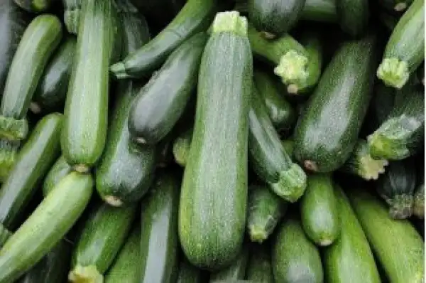 andere Gemüse: Zucchini Soraya