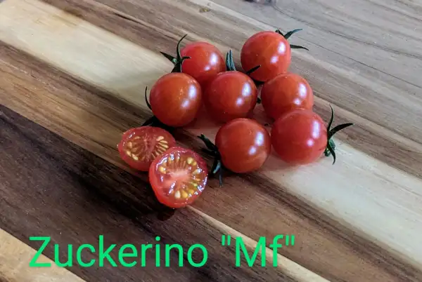 Tomaten: Zuckerino