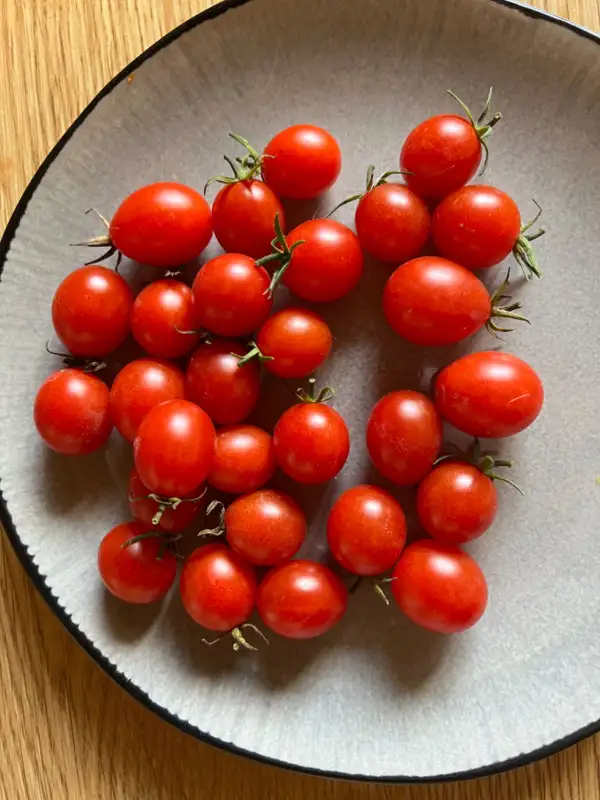 Tomaten: Zuckerino Lukas
