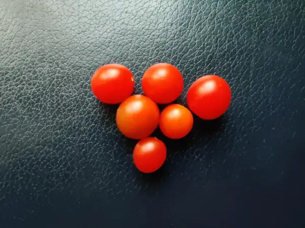 Tomaten: Zuckerino Lukas