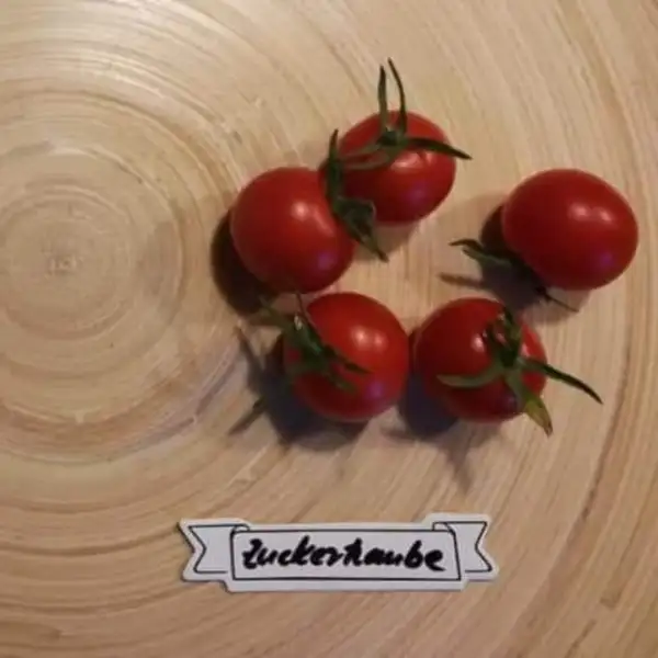 Tomaten: Zuckertraube