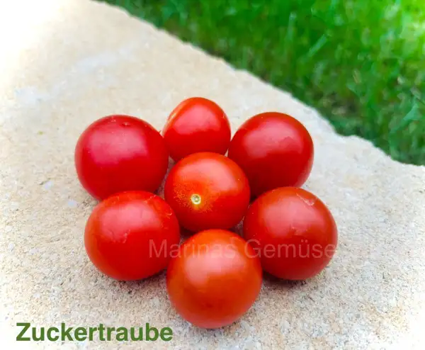 Tomaten: Zuckertraube
