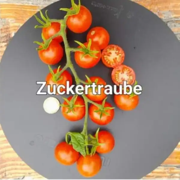 Tomaten: Zuckertraube