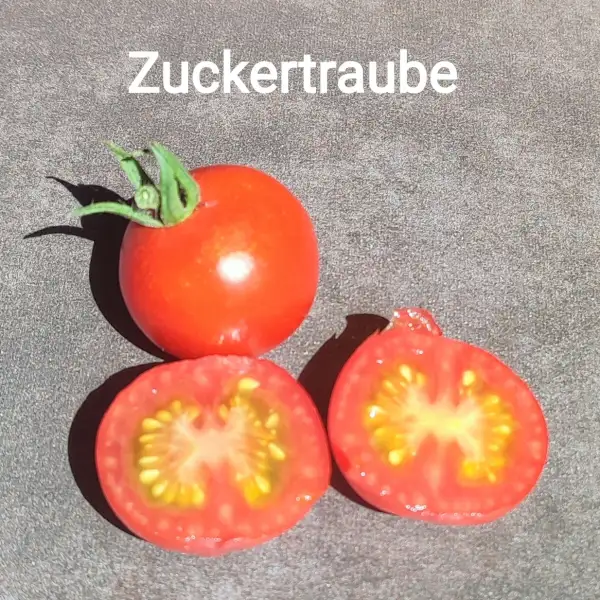 Tomaten: Zuckertraube