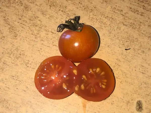 Tomaten: Zuckertraube