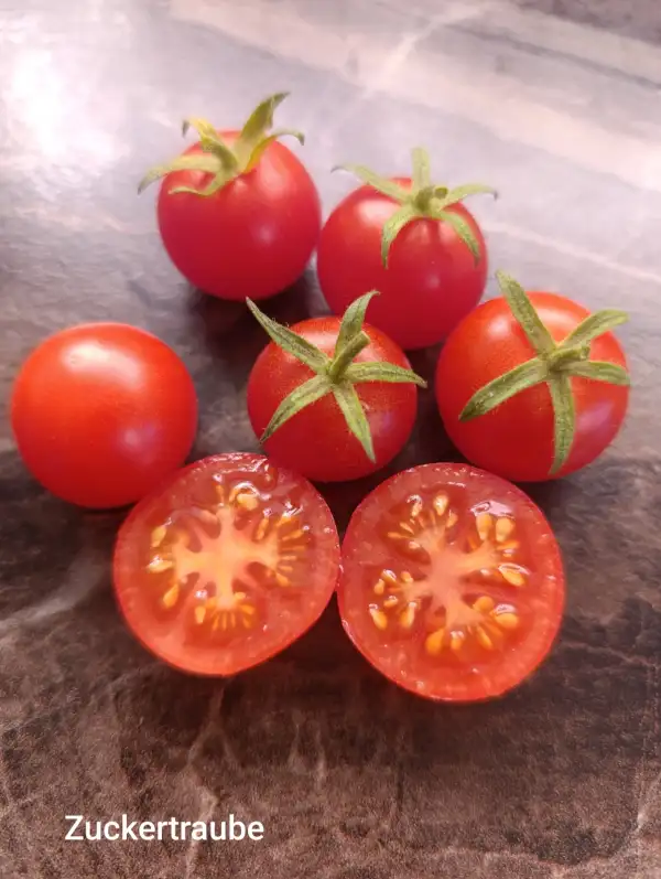 Tomaten: Zuckertraube